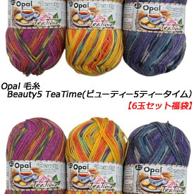 Opal 毛糸 Beauty5 TeaTime(ビューティー5ティータイム）6玉セット福袋