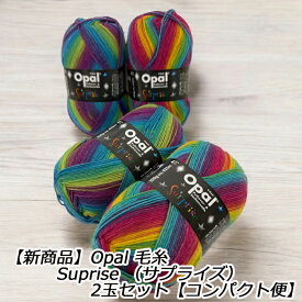 【新商品】Opal 毛糸 Suprise （サプライズ）2玉セット【コンパクト便全国送料無料】