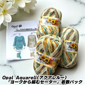 Opal Aquarell(ANA[jw[N҂ރZ[^[xpbN