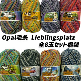 【感謝祭期間中】Opal 毛糸 Lieblingsplatz(リープリングスプラッツ)全8玉セット福袋