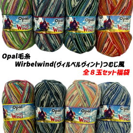 【感謝祭期間中】Opal 毛糸 Wirbelwind(ヴィルベルヴィント)つむじ風　全8玉セット福袋