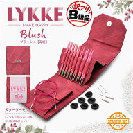 【訳ありB級品】LYKKE『コンパクトセット』Blush【深紅】5インチ回転付け替式輪針スターターセット