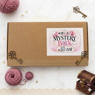 ラスト100個限定！てんちょー企画！【ミステリーBOX】ネコポス便送料無料【おまけ付きかも？】