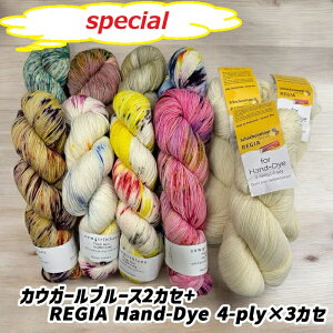 JEK[u[X2JZ+REGIA Hand-Dye 4-ply×3JZ@XyV