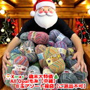 Xmas・歳末大特価！All Opal毛糸【中細】8玉アソート福袋【ご返品不可】
