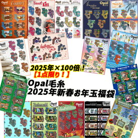 2025年を100倍楽しめる！1点限り！Opal毛糸 一挙16シリーズ！計124玉福袋【ご返品・代引き不可】