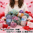 オールOpal毛糸【中細】10玉アソート福袋【ご返品不可】