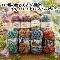 118編み物わくわく福袋（Opal＋エトロフィル計8玉）