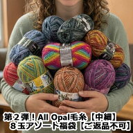 第2弾！All Opal毛糸【中細】8玉アソート福袋【ご返品不可】