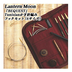 LANTERNMOON（ランタンムーン）【BEQUEST】交換式アフガン針 セット（6サイズ4.00mm−8.00mm）（お試し毛糸2玉付）