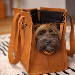 yVizmuudi[jClara transport bagyN gX|[g zELpBag