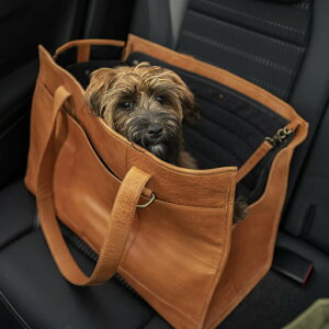 yVizmuudi[jClaraXL transport bagyNXL gX|[g zELpBag