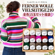 FERNER_WOLLE VIELSEITIGE210（バーサタイル 210）全15玉セット福袋