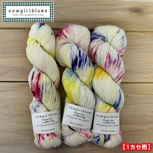 CowgirlbluesiJEK[u[XjPROPER SOCK }` PJ POWERSyPJ p[Yz(4{Q)1JZ