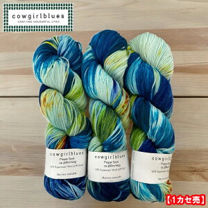 CowgirlbluesiJEK[u[XjPROPER SOCK }` TRACY CHAPMANygCV[E`bv}z(4{Q)1JZ