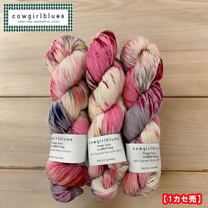 CowgirlbluesiJEK[u[XjPROPER SOCK }`@HAPPY DAYSynbs[fCYz(4{Q)1JZ