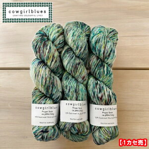 CowgirlbluesiJEK[u[XjPROPER SOCK }`@KARMA CHAMELEONyJ} JIz(4{Q)1JZ