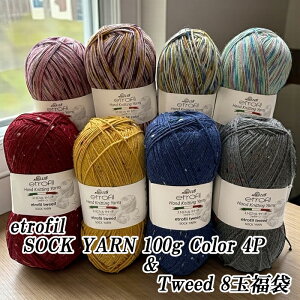 etrofil SOCK YARN 100g Color 4P&Tweed 8�ʕ���
