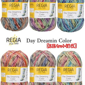 【限定版】REGIA 毛糸100g4ply Daydreaming(デイドリーミング)全色6玉セット福袋