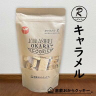 キャラメルチョコチップ　倉敷おからクッキー