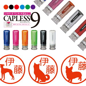 V`n^ LbvX9 uI Brillio R WȂ ֗  hbO  ͂ nR OX^v 蕨 bsO CN AE ] ݂܂ ܂ 搶 蒠Ǘ I[_[ 