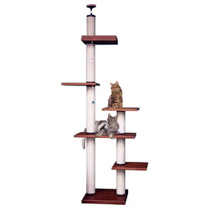 yLbg^[̃pCIjAzvCAX`bN@LB|DX@[V䍂2m25cm`2m45cm܂őΉ]@siyL Lbg^[ L^[zy߁zyzyu[_[iz