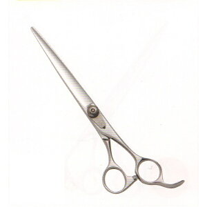 yg~OVU[@nT~@͂ zyTOKIOVU[zyybgpVU[z@COBALT@AT|704S\ȂfUCύXꏤi摜ƈقȂꍇ܂@\̕ύX͂܂B