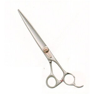 yg~OVU[@nT~@͂ zyTOKIOVU[zyybgpVU[z@AK|234ylCiz\ȂfUCύXꏤi摜ƈقȂꍇ܂@\̕ύX͂