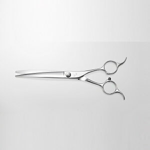 yYKVU[zyybgpVU[zJ[u͂݁@YKVU[RR|650yv[Xzyet@g}[zyX߁z