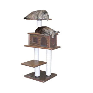 yōLbg^[@u^Cvzwr[L[uR|DXyu^Cvzyōzyz