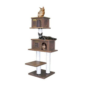 yōLbg^[@u^CvzX[L[uM|DXyu^Cvzyōzyz