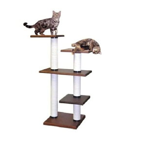 yōLbg^[@u^CvzvCAX`bNS|DXyu^Cvzyōzyz