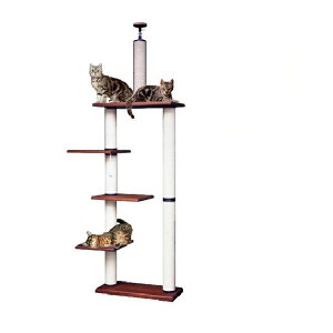 yLbg^[̃pCIjAzcC^[LB|DX@@[V䍂2m25cm`2m45cm܂őΉ]@siyL Lbg^[ L^[zy߁zyzyu[_[iz