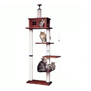 yLbg^[̃pCIjAzcC^[LA|DX@@[V䍂2m25cm`2m45cm܂őΉ]@siyL Lbg^[ L^[zy߁zyzyu[_[iz