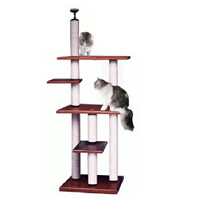 yLbg^[̃pCIjAzwr[AX`bNChXLB|DX@@[V䍂2m25cm`2m45cm܂őΉ]@siyL Lbg^[ L^[zy؏izy߁zyzy