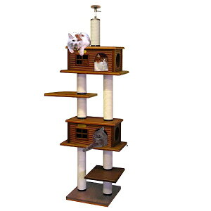 yLbg^[̃pCIjAzWnEXcC^[DX@@[V䍂2m25cm`2m45cm܂őΉ]@siyL Lbg^[ L^[zy؏izy߁zyzyu[_[