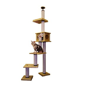 yLbg^[̃pCIjAzKiLeBLA2i|DX@@[V䍂2m25cm`2m45cm܂őΉ]@siyL Lbg^[ L^[zy߁zyzyu[_[iz