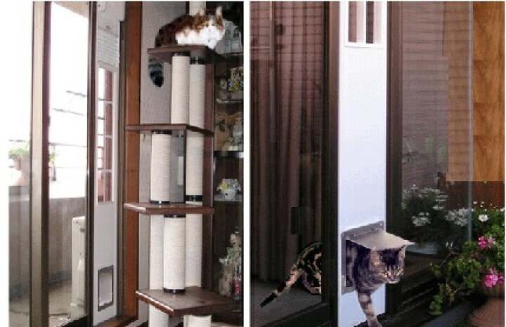 楽天市場】【中型犬用 工事不要のサッシ専用ドッグドア】フリードア 