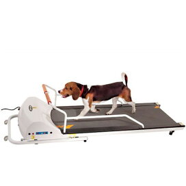 楽天市場 犬用ランニングマシーン ペット用品スリーエス 楽天市場店