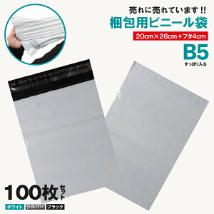 100Ɣ̉i!zprj[ 25cm×18cmΉ V[e[vt p NbN|Xg 䂤pPbg 炭炭Jւ 26cm×20cm{t^4cm 