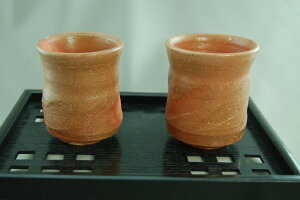 dq Ē vŵ b܎܍ r얾@ ̃Mtg җj Ȃǂ̑蕨ɍœK bsO@ byu-55