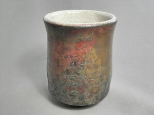 ʊy ̂ b܎܍ r얾@̃Mtg җj Ȃǂ̑蕨ɍœK bsO@gyu-21