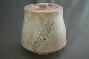 ʉ،{@w@ b܎܍ r얾@ ̃Mtg җj Ȃǂ̑蕨ɍœK bsO@mi-13