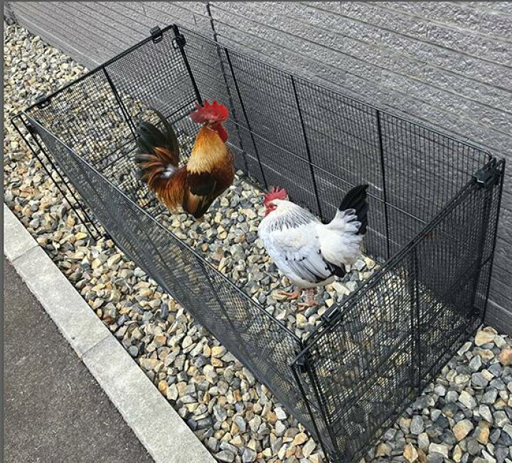 楽天市場】鳥かご 屋外 大型 鳥小屋 簡易折りたたみ式 DST-GOPE-1200 