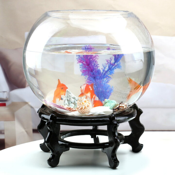 楽天市場 金魚鉢 幅cm メダカ きんぎょ 金魚 琉金 丸形 球型 台座付き 五つ足 ガラス製 透明 丸 鉢 睡蓮鉢 和風 可愛い 水槽 おしゃれ 観葉植物を入れて 飼育 ペット めだか グッピー カニ エビ ヤドカリ タニシ ハムスター インテリア 方角 風水