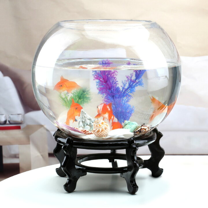楽天市場】金魚鉢 幅40cm メダカ きんぎょ 金魚 琉金 丸形 球型 台座 