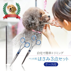 ybgp ͂3_Zbg ZtJbg g~O P[Xt   Ck L ˂ lR ƒp g~OVU[ R[ g}[ nT~  T Jbg ybgp ZtJb