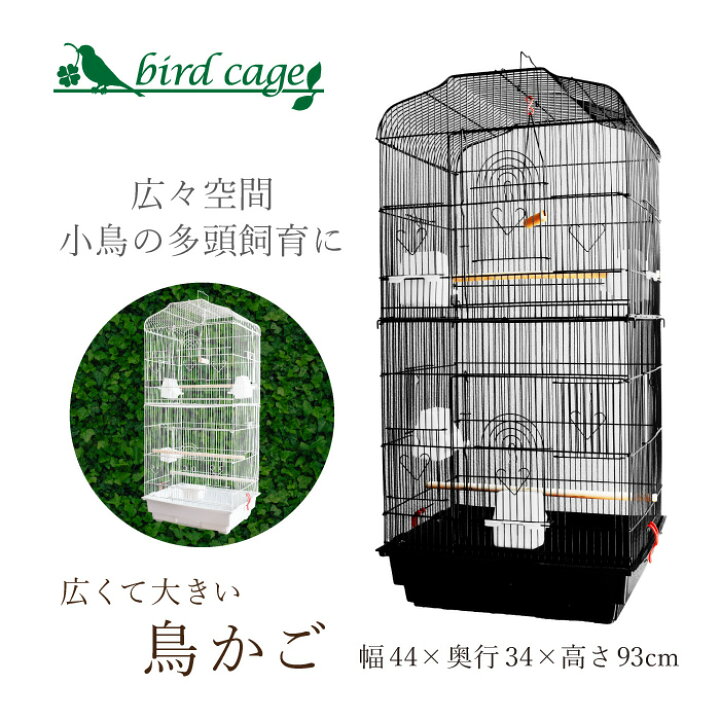 楽天市場】鳥かご ケージ おしゃれ 大型 鳥籠 鳥小屋 バードケージ 底 