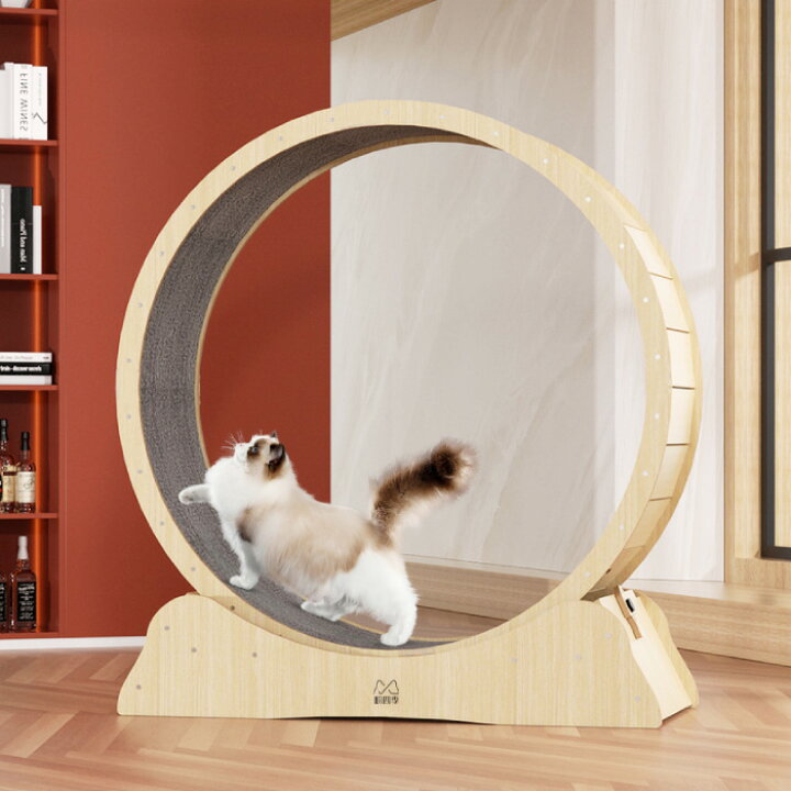 楽天市場】キャットホイール 猫ランナー S トレッドミル トレーニング  