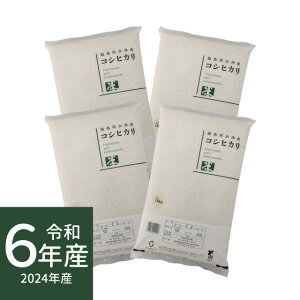 �R�V�q�J�� ��ÎY �ߘa6�N�Y �� 20kg (5kg×4) ���� ���� ���͂����w��s��